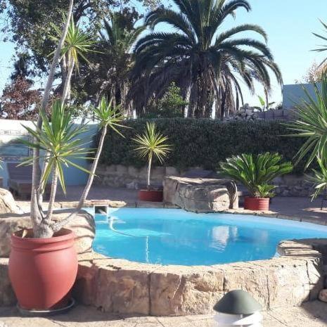 Blue Oyster Bed And Breakfast Knysna Exterior photo